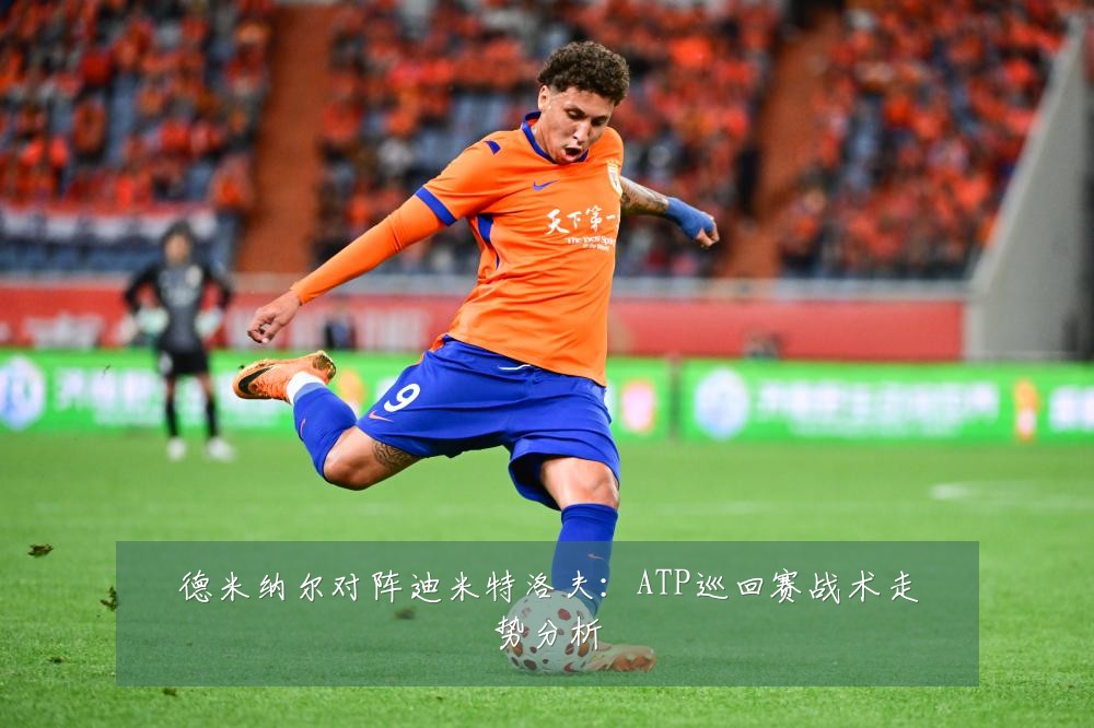 德米纳尔对阵迪米特洛夫：ATP巡回赛战术走势分析